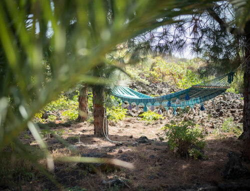 Garten mit Hängematte